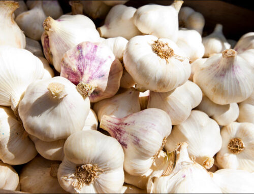 Common Foods That Cause Bad Breath